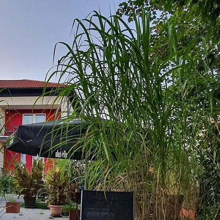 فندق 'schlabecks - Fraenkischer Hof' - - - Garni-hotel-pegnitz بغنيتس